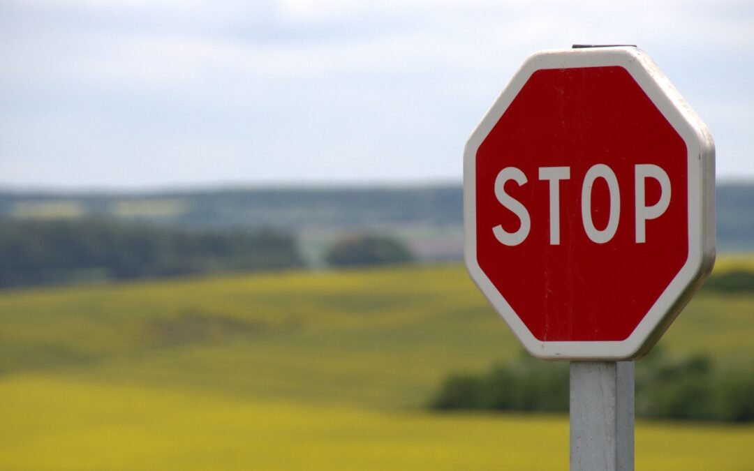 Rodzicielstwo – ale jazda! Warsztaty on-line – odc. 6